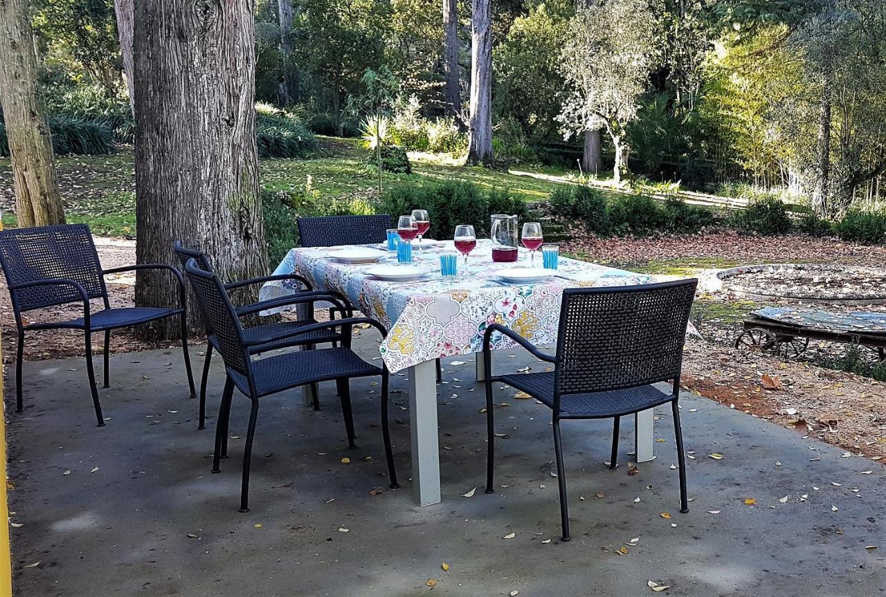 Quinta Da Bizelga Cottages Tomar Cameră foto